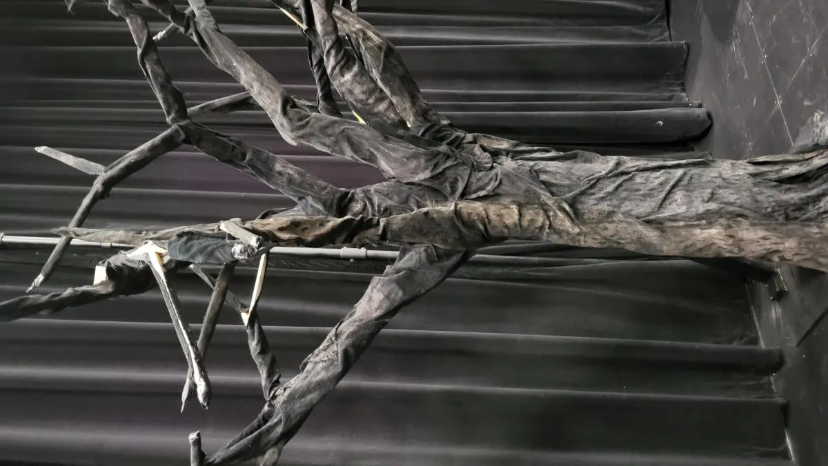 1772111642-Michelle Bland-Annapolis MD-Sonotube6.webp